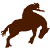 rodeo cowboy cheval