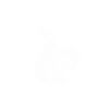 Squirrel Whispering animaux rongeurs