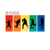 Sports fan