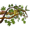 mysterious forest