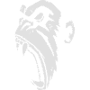 Bad monkey