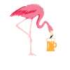 Flamingo beer