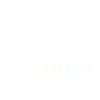 Triceratops dinosaur