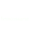Brontosaurus dinosaur