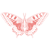 Papillon Rose Éthérée