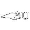 phoque_you