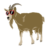 goat