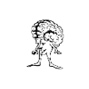 Brain