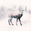 Deer forest