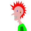 Cool Punk, Punker