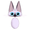 Siamese Cat