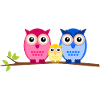 Owls family