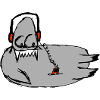 walrus