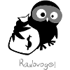 EULE // Raubvogel.