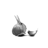 Knoblauch