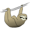 sloth