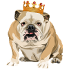 The real King