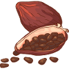 Cacao choucé chocolat cacao fèves