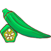 Okra Edible Marshmallow Gomboban Okolo Gambo