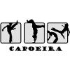 Capoeira Zebra Dance