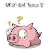 Pig Piggy Sau Clueless Planless