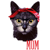 Gattini mamma mamma gattini gattini