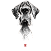 Sketchy Dog
