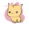 Cute cute cat