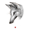 Sketchy Wolf