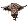 Sketchy Buffalo