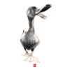 Sketchy Duck
