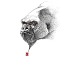Sketchy Gorilla
