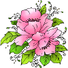 Rose Flowers