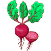 Beetroot Beet Bete