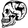 skull skull crane 105 w