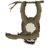 Dabbing sloth