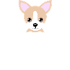 Chihuahua View Out Bag