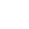 Guitars