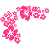 hawaii flower