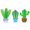 Cactus!