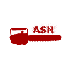 Ash - chainsaw