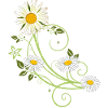 Rank with margerite and daisies