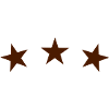 star starlets stars