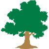 wild tree tree