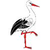 Cigogne