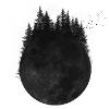 Forest moon