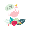 Flamigo summer Aloha princess