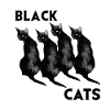 Black cats