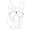 CZECHOSLOVAK WOLFDOG cool