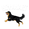 Hovawart II